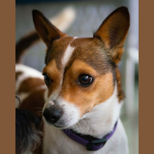 Photo of Max