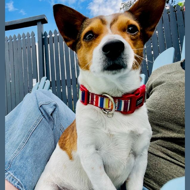 Photo of Max