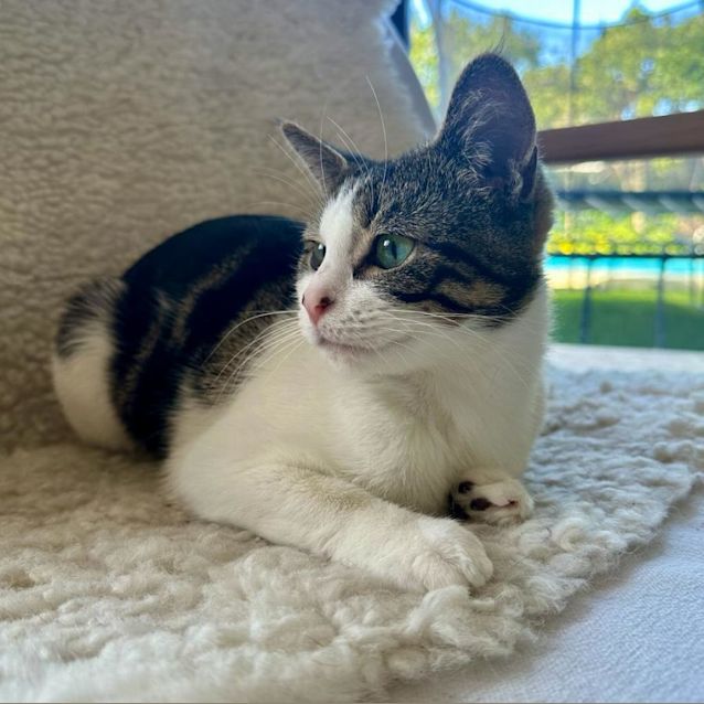 Photo of Sylvie