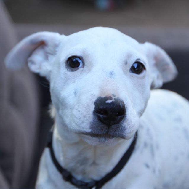 Photo of Eddie