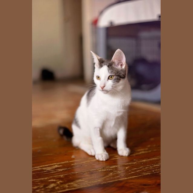 Photo of Monte Carlo