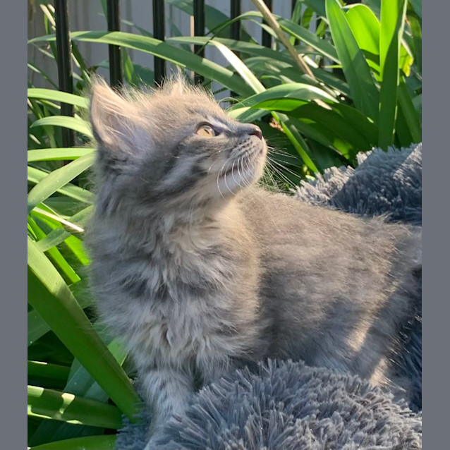 Photo of Millie💕💕💕