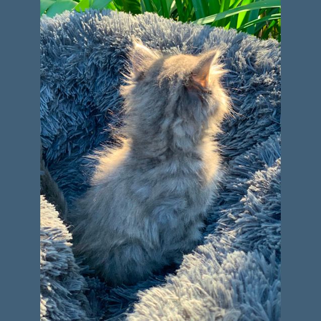 Photo of Millie💕💕💕