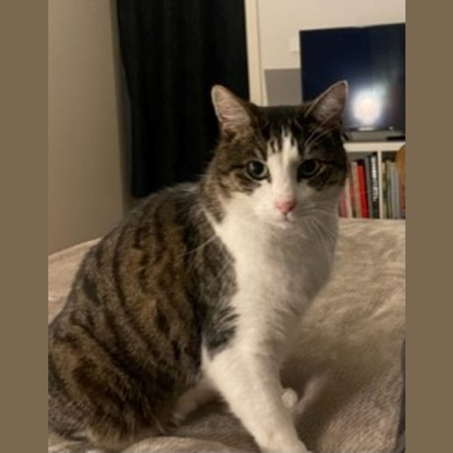 Photo of Monty