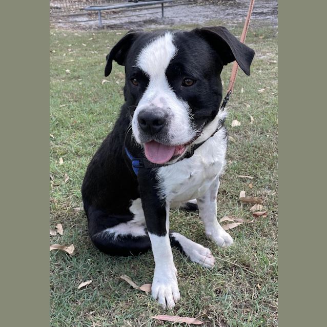 Photo of Bubba
