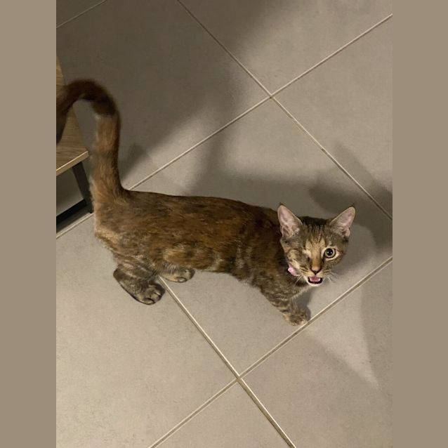 Photo of Nancy Drew