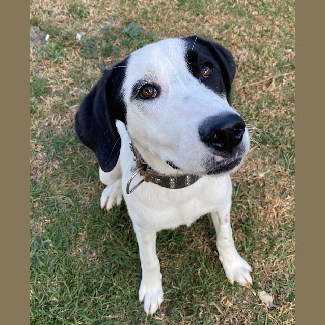 Photo of Matilda 