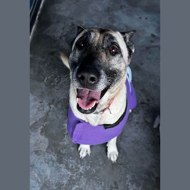 Photo of Mia