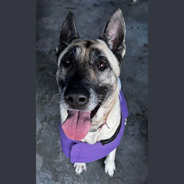 Photo of Mia