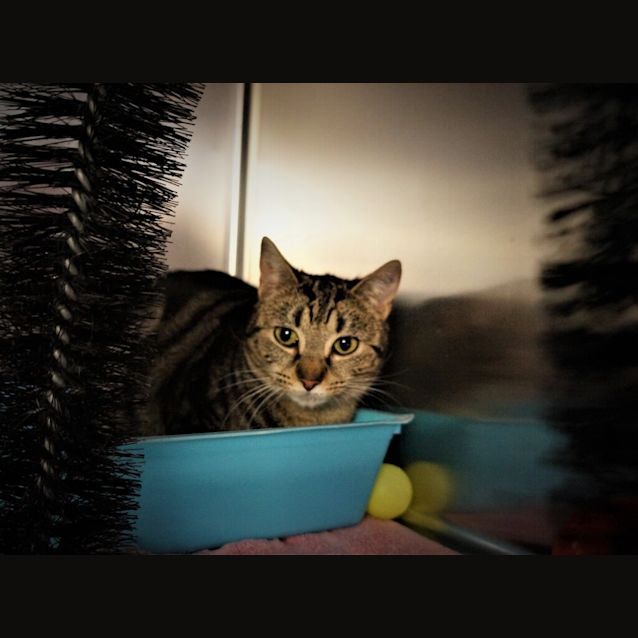Photo of Abby 