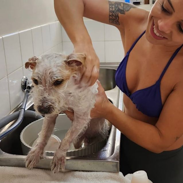 Photo of Little Lucky 