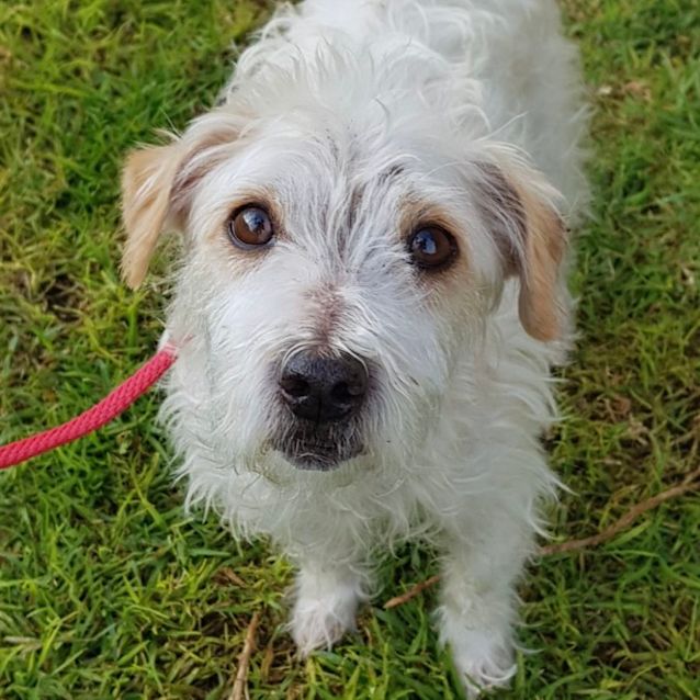 Photo of Little Lucky 