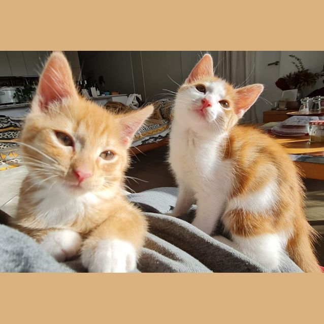 Photo of Miel & Caramel