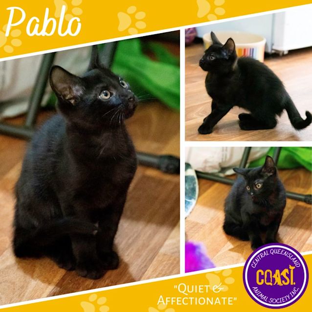Photo of Pablo