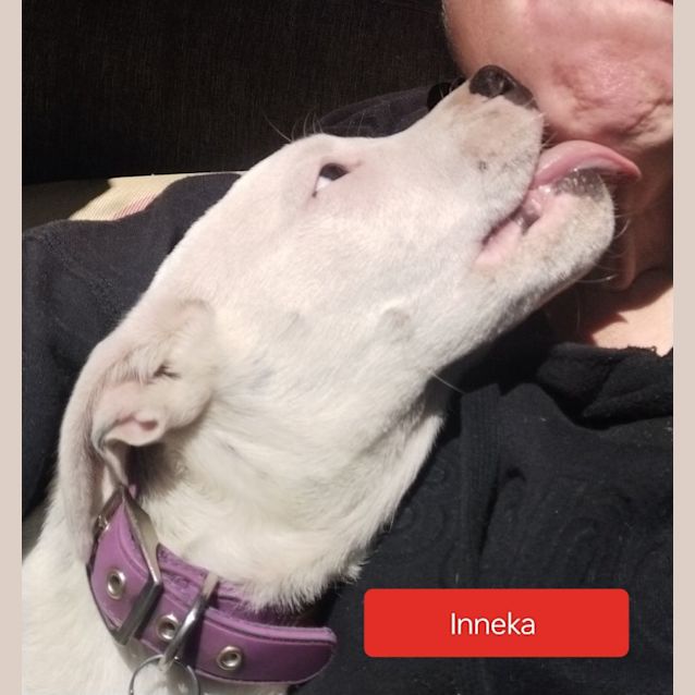 Photo of Inneka