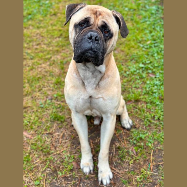 Photo of Cash 