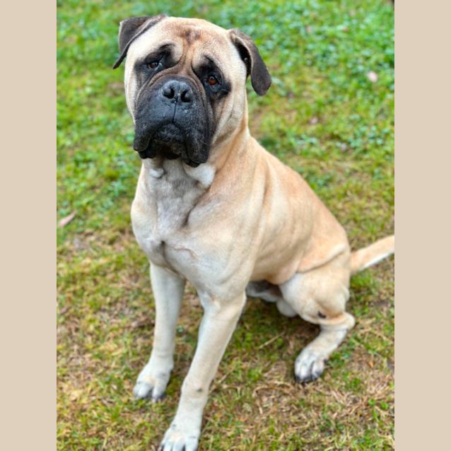 Photo of Cash 