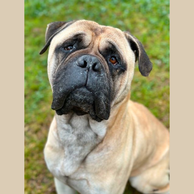 Photo of Cash 