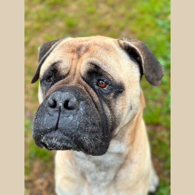 Photo of Cash 