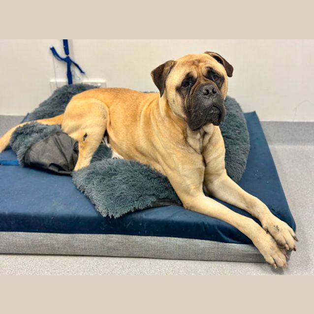 Photo of Cash 