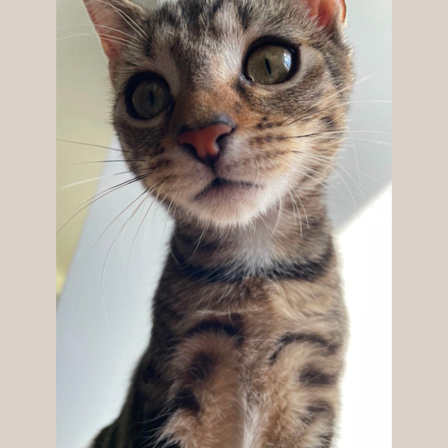 Photo of Lulu