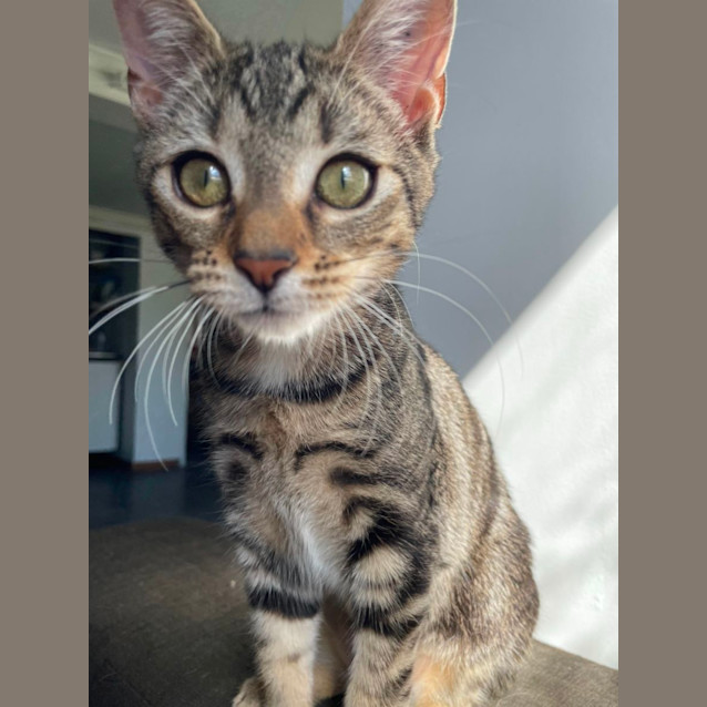 Photo of Lulu