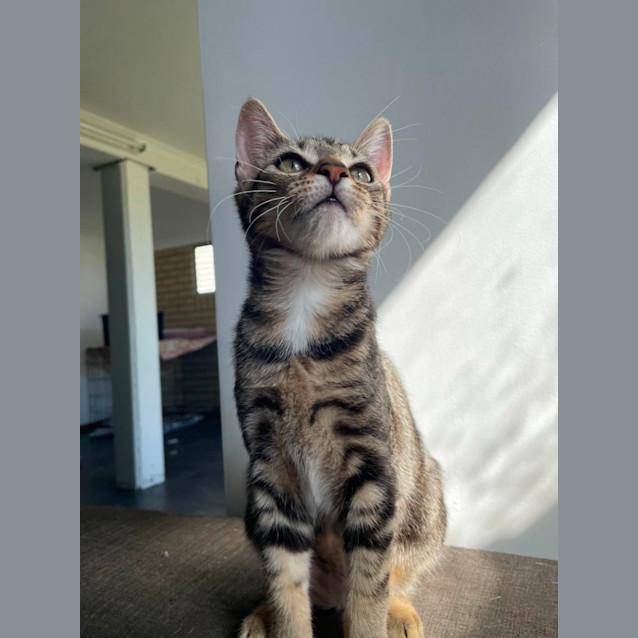 Photo of Lulu
