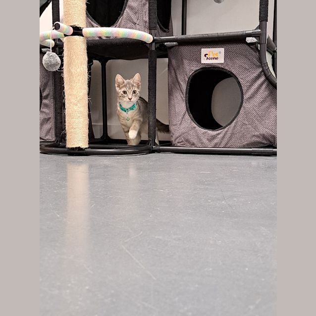 Photo of Milly