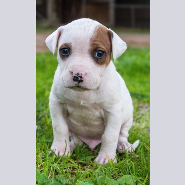 Photo of Moby