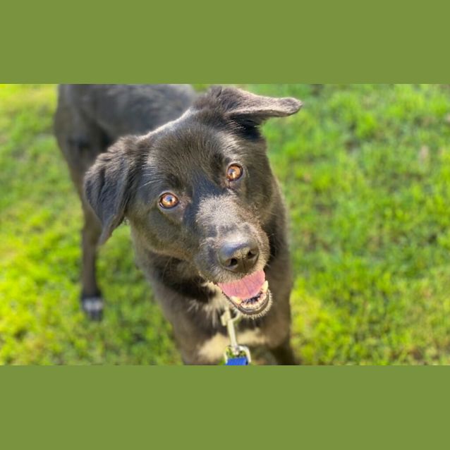Photo of Lucy