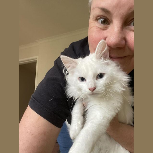 Photo of Selenite (Sella)