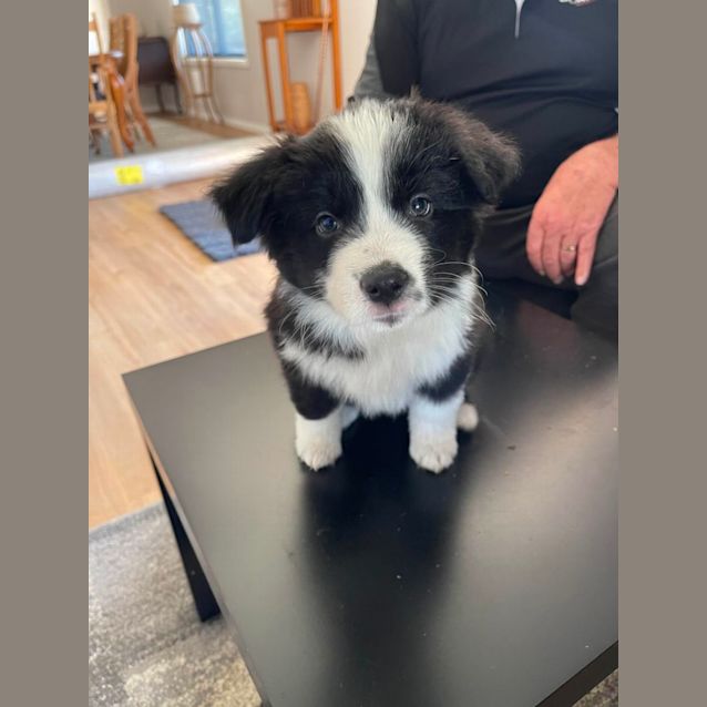 Photo of Cash