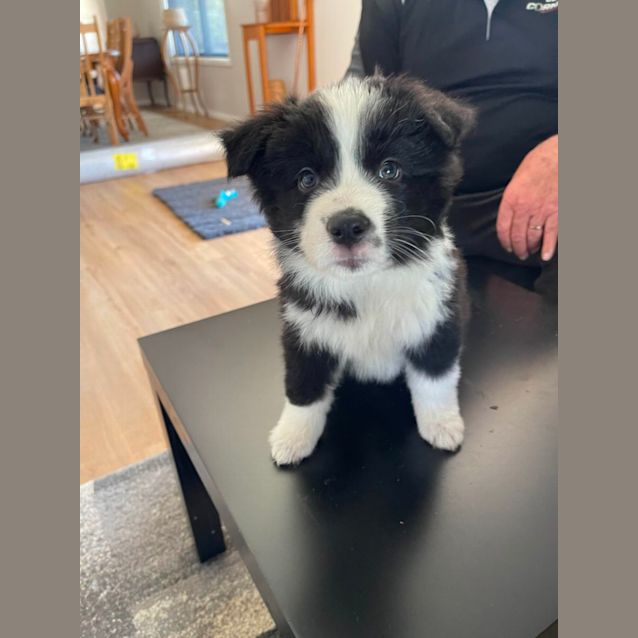 Photo of Cash