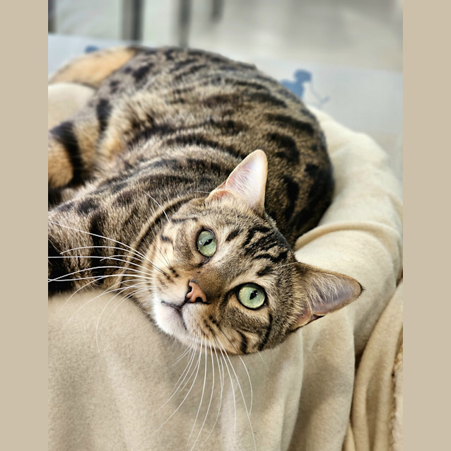 Photo of Neo