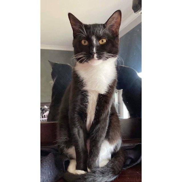 Photo of 9350   Mystique 