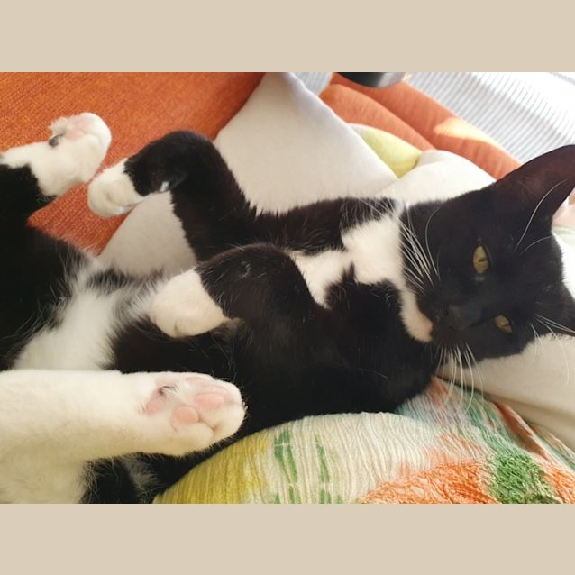 Photo of Mia