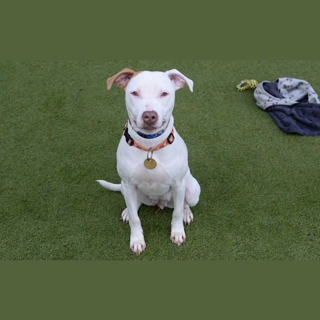 Photo of Nelly