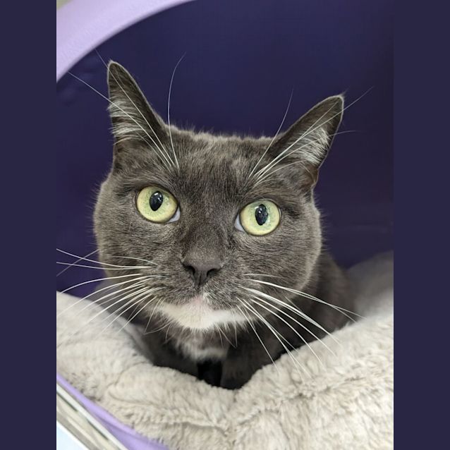 Photo of 🥰Layla F02555🥰