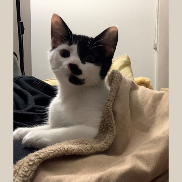 Photo of Hannah & Andrew