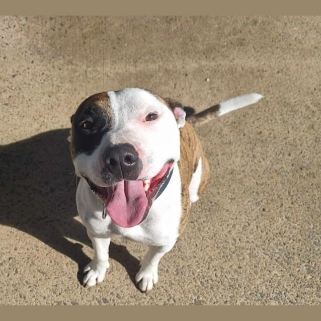 Photo of Little Bruce