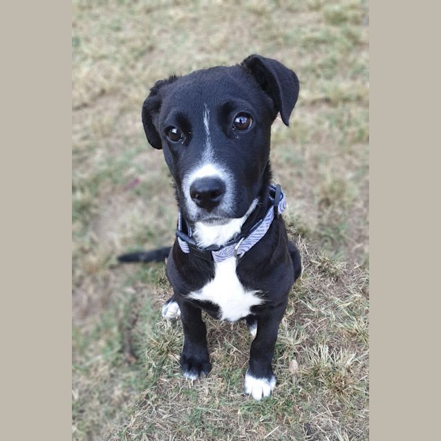 Photo of Mavis