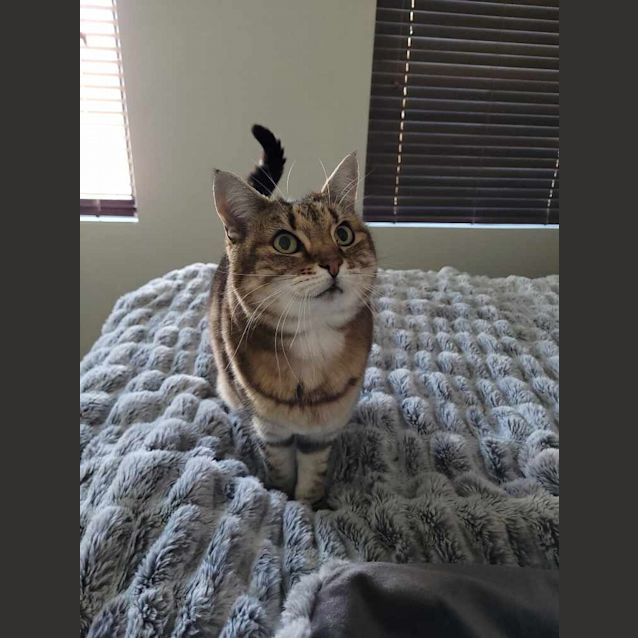 Photo of Holly