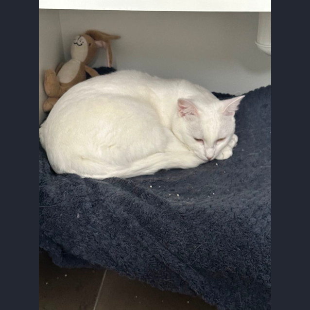 Photo of Cressy 🌸