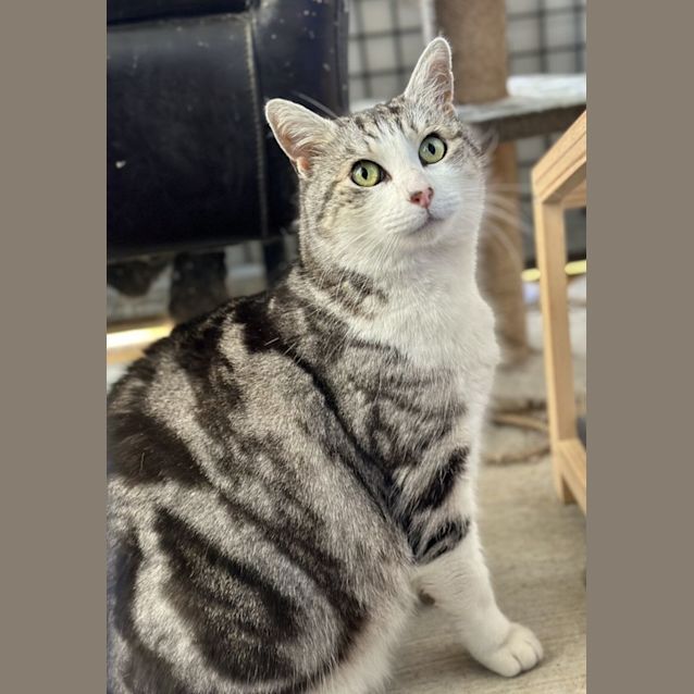 Photo of Molly 