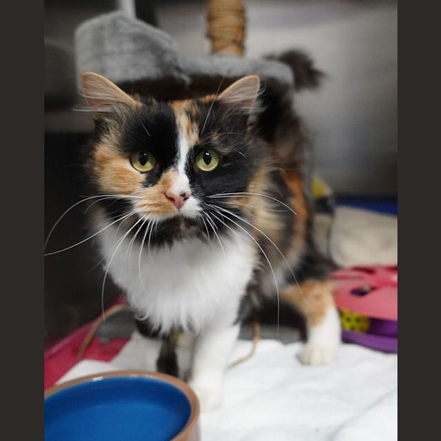 Photo of Sailor