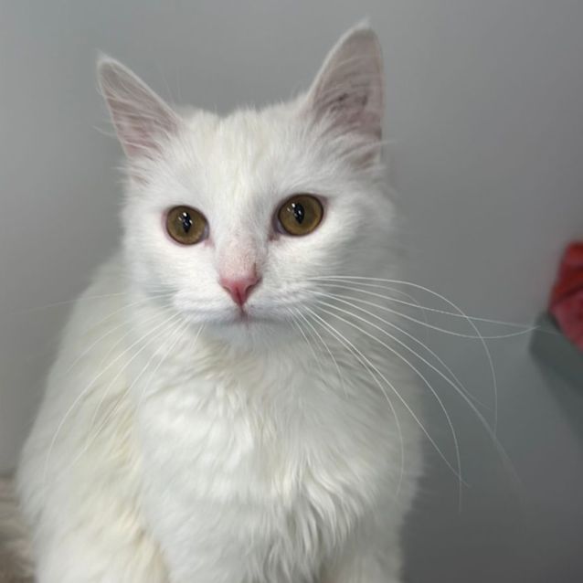 Photo of Marsha 