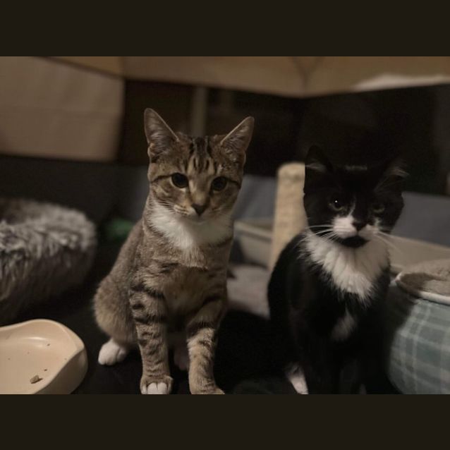 Photo of Kim Meet Me At Petstock Hastings