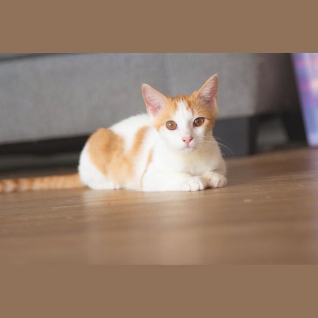 Photo of Ellie