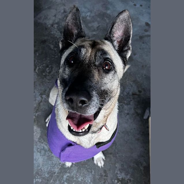 Photo of Mia