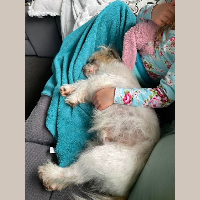 Photo of Milo